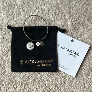 Alex and Ani Silver Bangle with Virginia Tech Charm